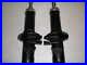 Front Strut Pair Fits Suzuki Carry DB51T Model