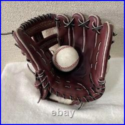 Mizuno Pro Baseball Hard Glove Special Order 11 Infield RHT HAGA Japan