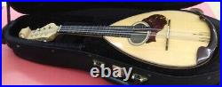 SUZUKI M-150 Mandolin Guitar Master Hand Top Model Semi Hard Case good condition