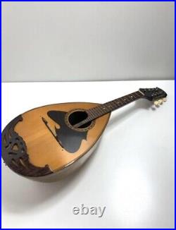 SUZUKI Model No. 226 1968 Suzuki Suzuki Mandolin No. 226 Stringed instrument Japan