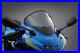 Suzuki Racing Disc Tinted Gsx-R 125 from Model 2017